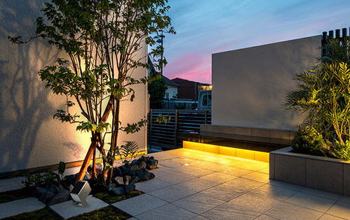 植物景觀照明設(shè)計四大原則及常見照明方式